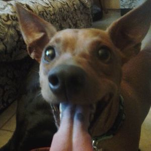 Meet your Posher, Cecilia